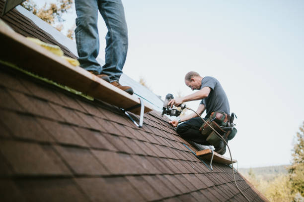 Best Roof Gutter Cleaning  in Hughestown, PA